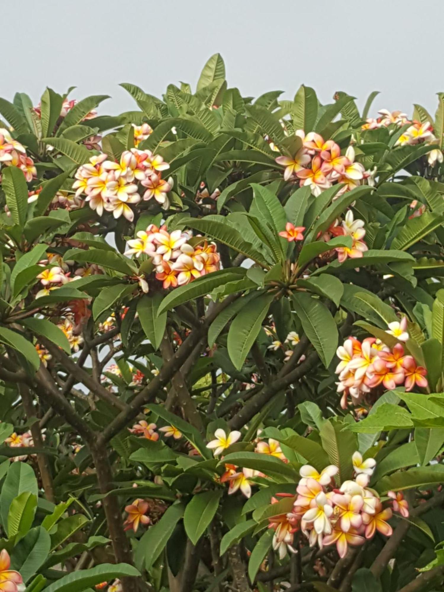 Casa Finca Avocado 洛斯·亚诺斯·德·阿里丹 外观 照片